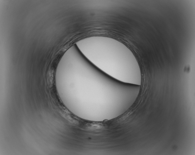 X0000113140475200909041001