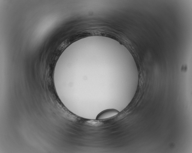 X0000113140477200909041001