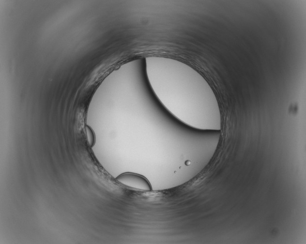 X0000113140478200909041001