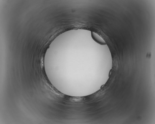 X0000113140479200909041001