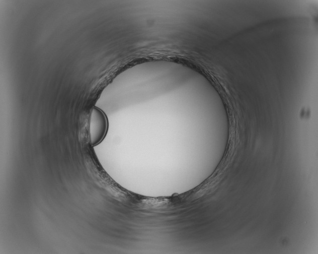 X0000113140480200909041001