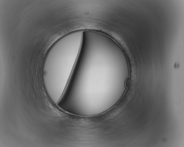 X0000113140481200909041001