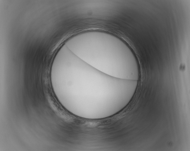 X0000113140482200909041001
