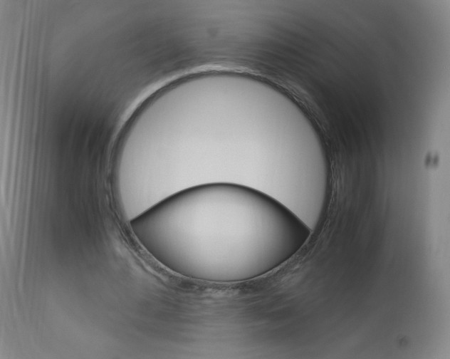 X0000113140484200909041001