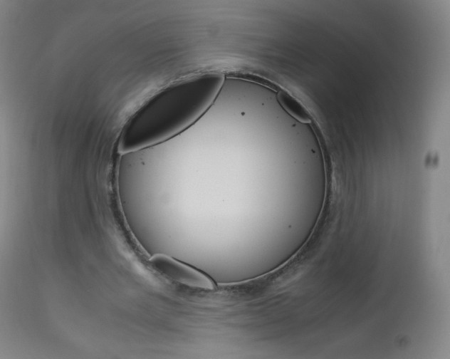 X0000113140485200909041001