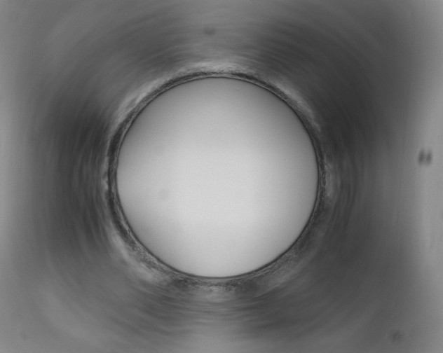X0000113140486200909041001