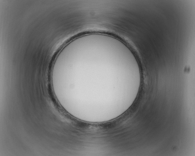 X0000113140487200909041001