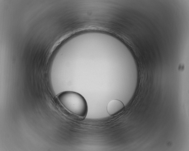 X0000113140488200909041001