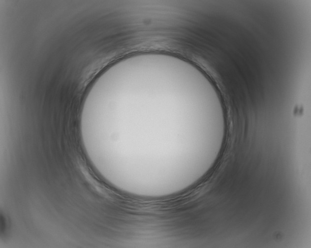 X0000113140493200909041001
