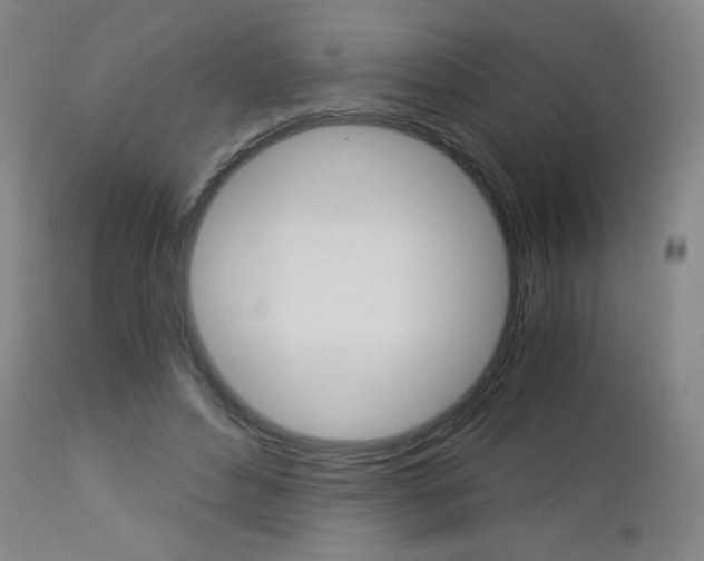 X0000113140496200909041001