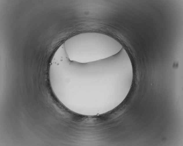 X0000113140497200909041001