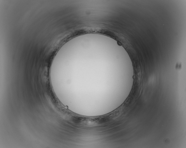 X0000113140498200909041001