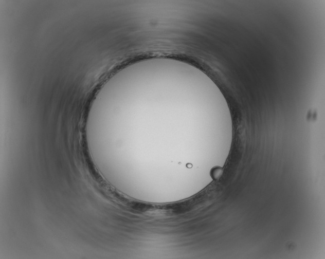 X0000113140499200909041001