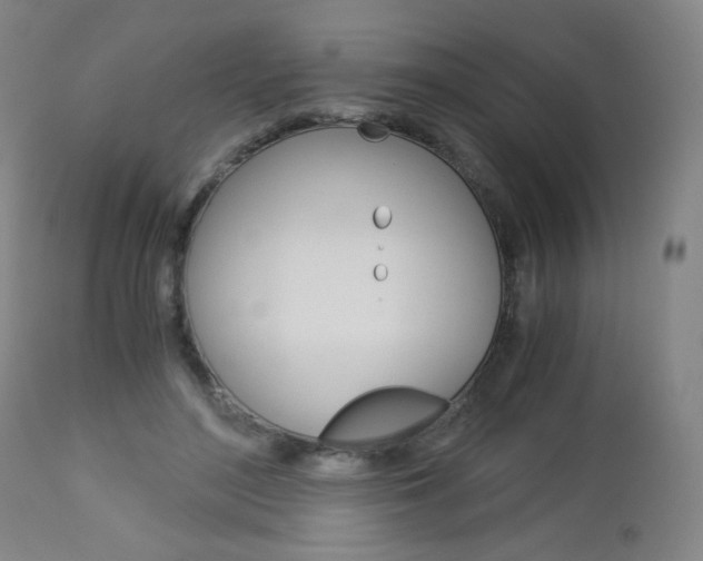 X0000113140500200909041001