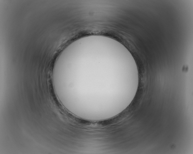 X0000113140503200909041000