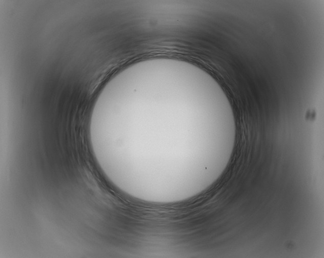 X0000113140504200909041000