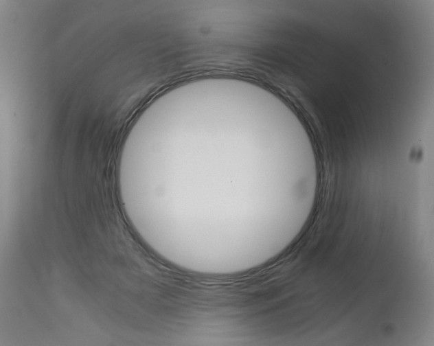 X0000113140505200909041000