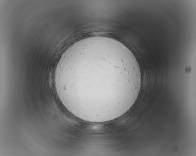 X0000113140506200909041000