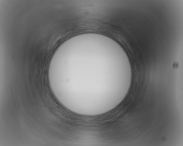X0000113140509200909041000