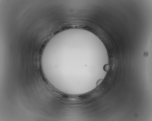 X0000113140510200909041000