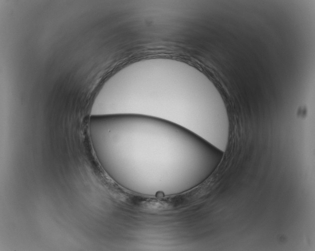 X0000113140512200909041000