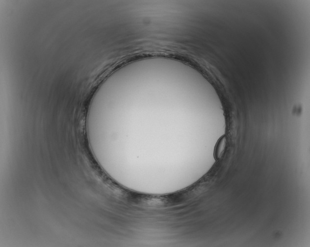 X0000113140513200909041000