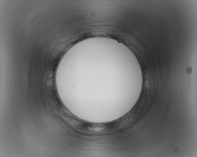 X0000113140514200909041000