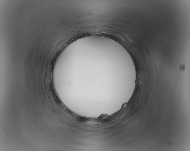 X0000113140515200909041000