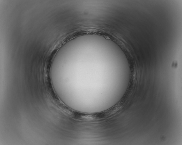 X0000113140516200909041000