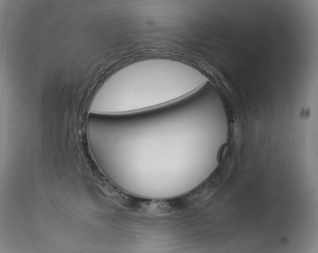 X0000113140517200909041000