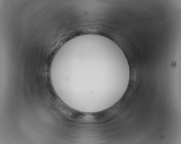 X0000113140518200909041000