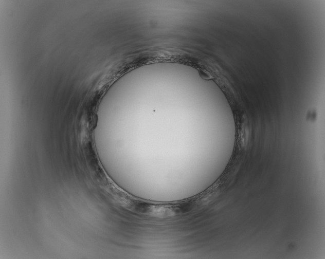 X0000113140520200909041000