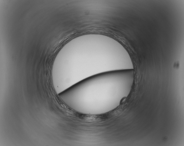 X0000113140521200909041000