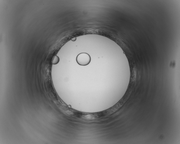 X0000113140522200909041000