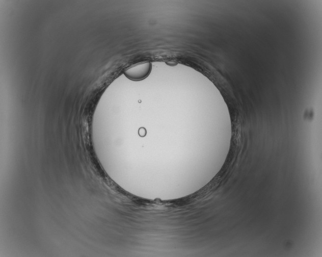 X0000113140523200909041000
