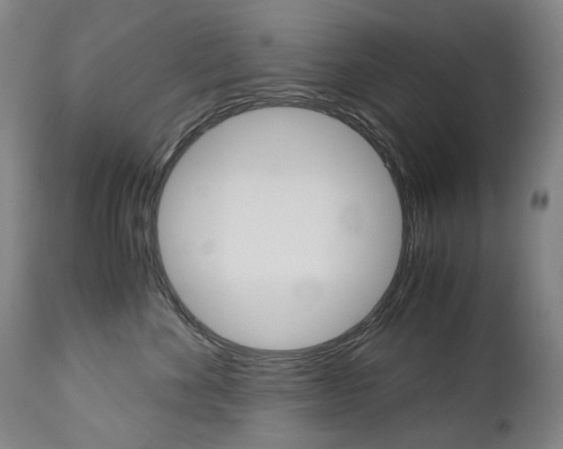 X0000113140524200909041000