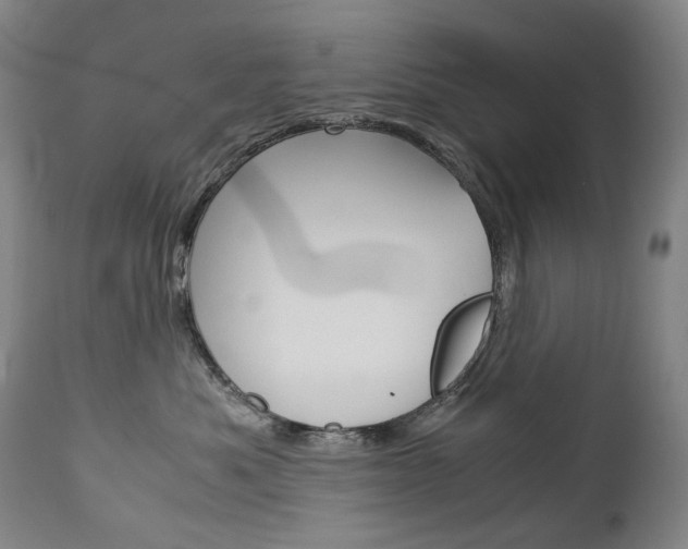 X0000113140525200909041000