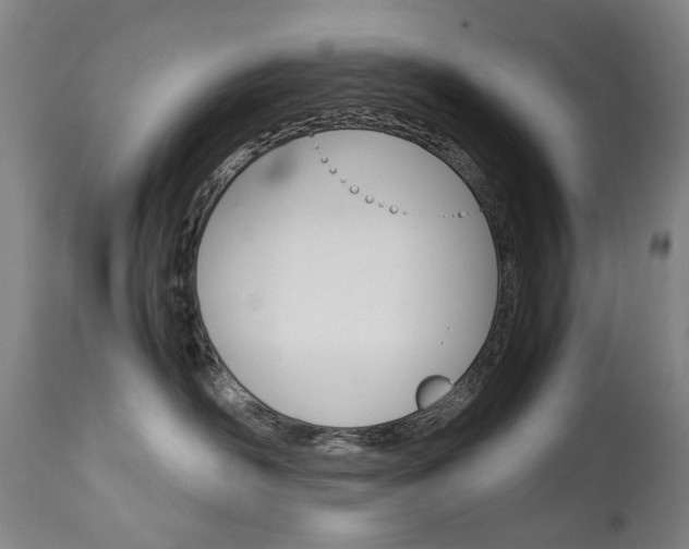 X0000113140526200909041000