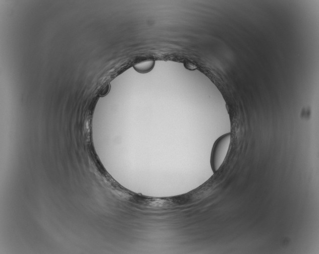 X0000113140527200909041000