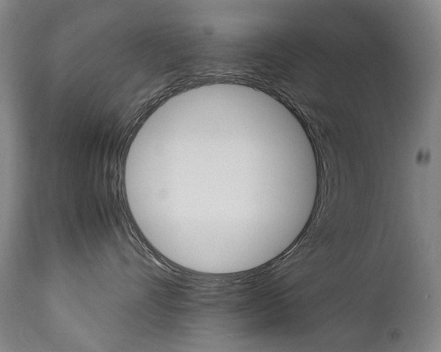 X0000113140528200909041000