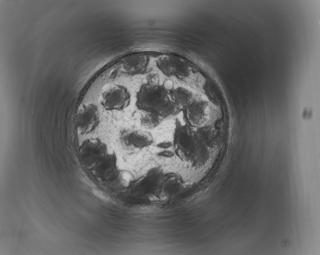 X0000113140529200909040959