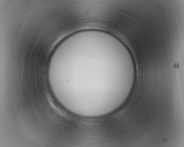 X0000113140530200909040959