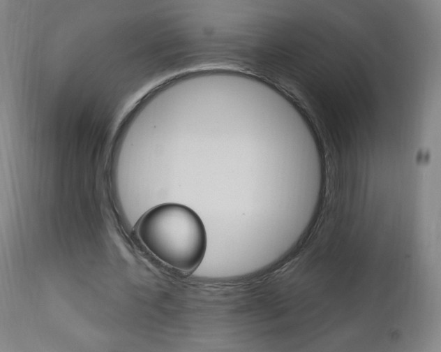 X0000113140532200909040959