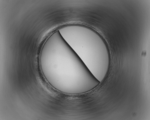 X0000113140535200909040959