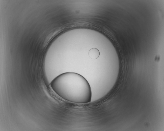 X0000113140538200909041000
