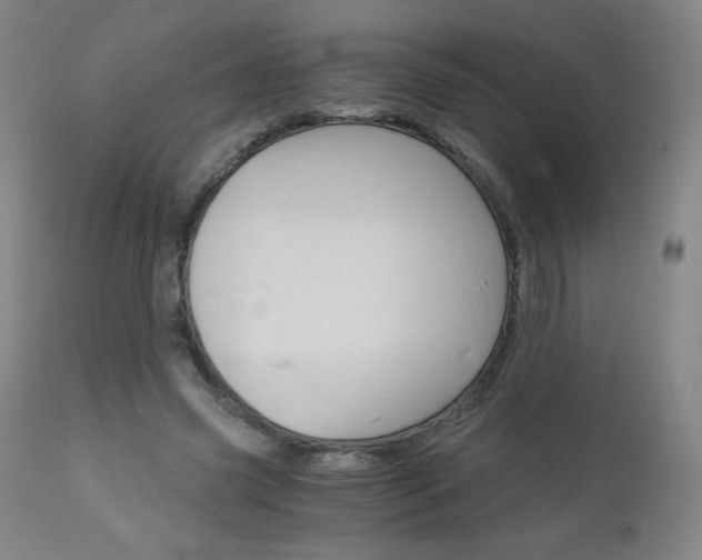 X0000113140541200909041000