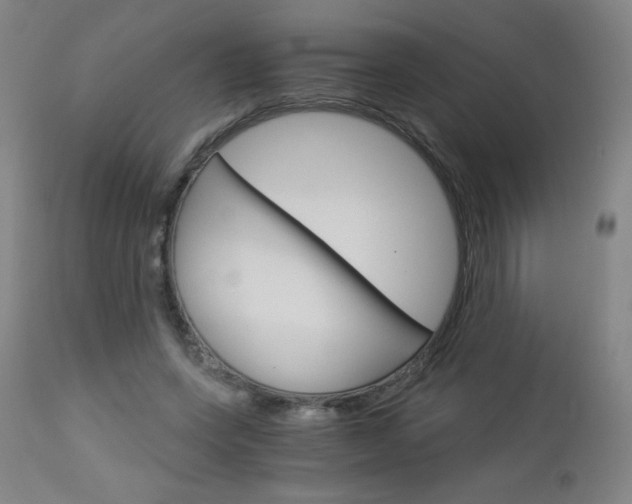 X0000113140543200909041000