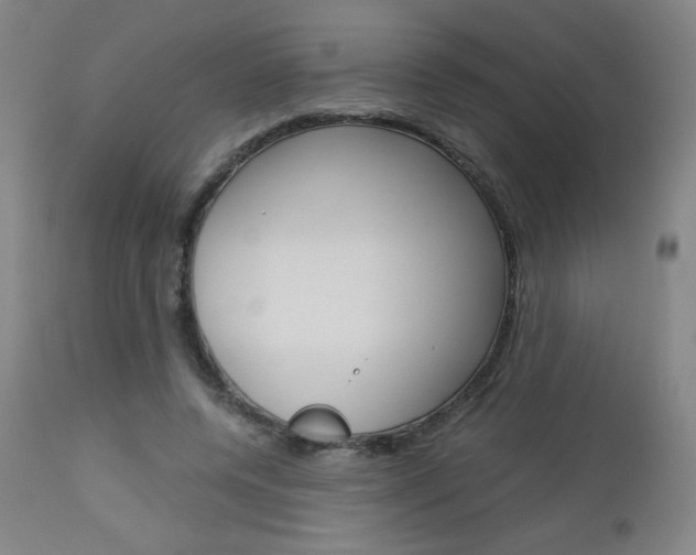 X0000113140544200909041000
