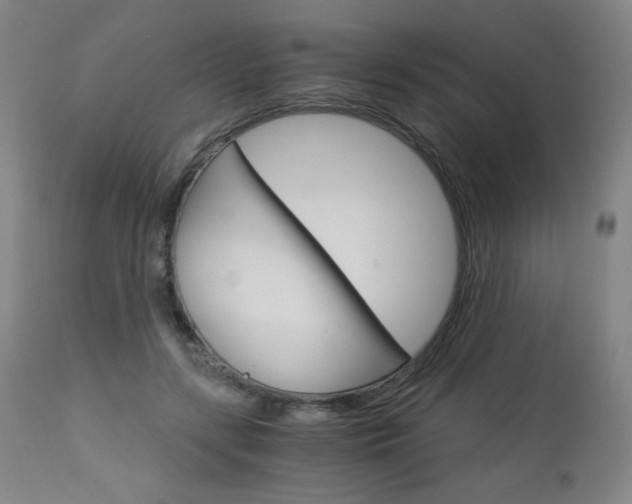 X0000113140547200909041000