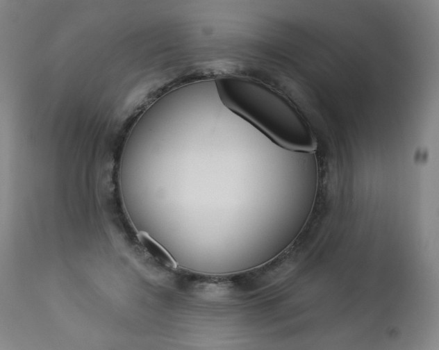 X0000113140548200909041000